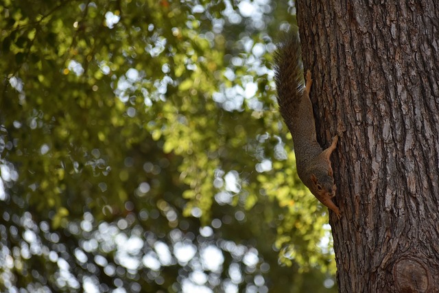 球迷热议 球迷热议