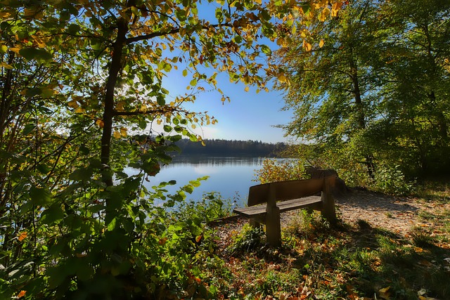 发广泛讨论 发广泛讨论