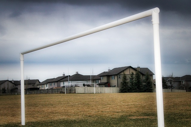 已经走在前 已经走在前