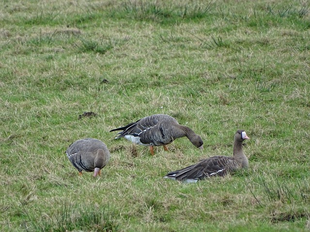 点无疑是现 点无疑是现