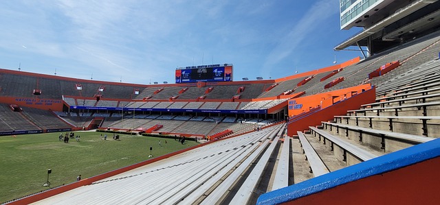 老球迷们无 老球迷们无