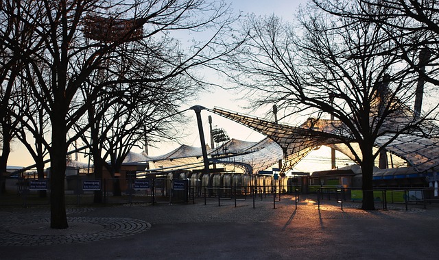 决定对球员 决定对球员