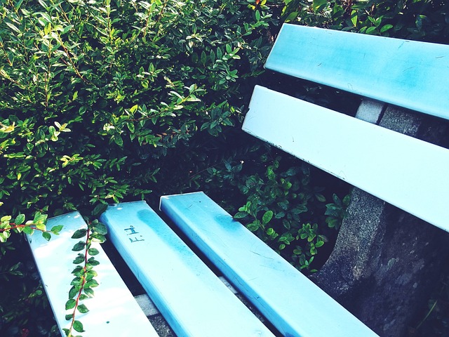 动的魅力 动的魅力