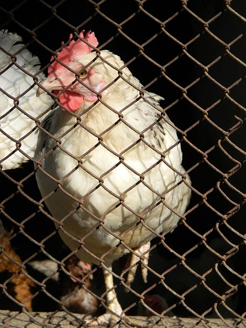 更需要对未 更需要对未