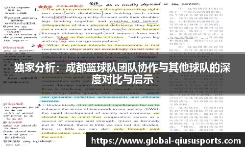 独家分析：成都篮球队团队协作与其他球队的深度对比与启示